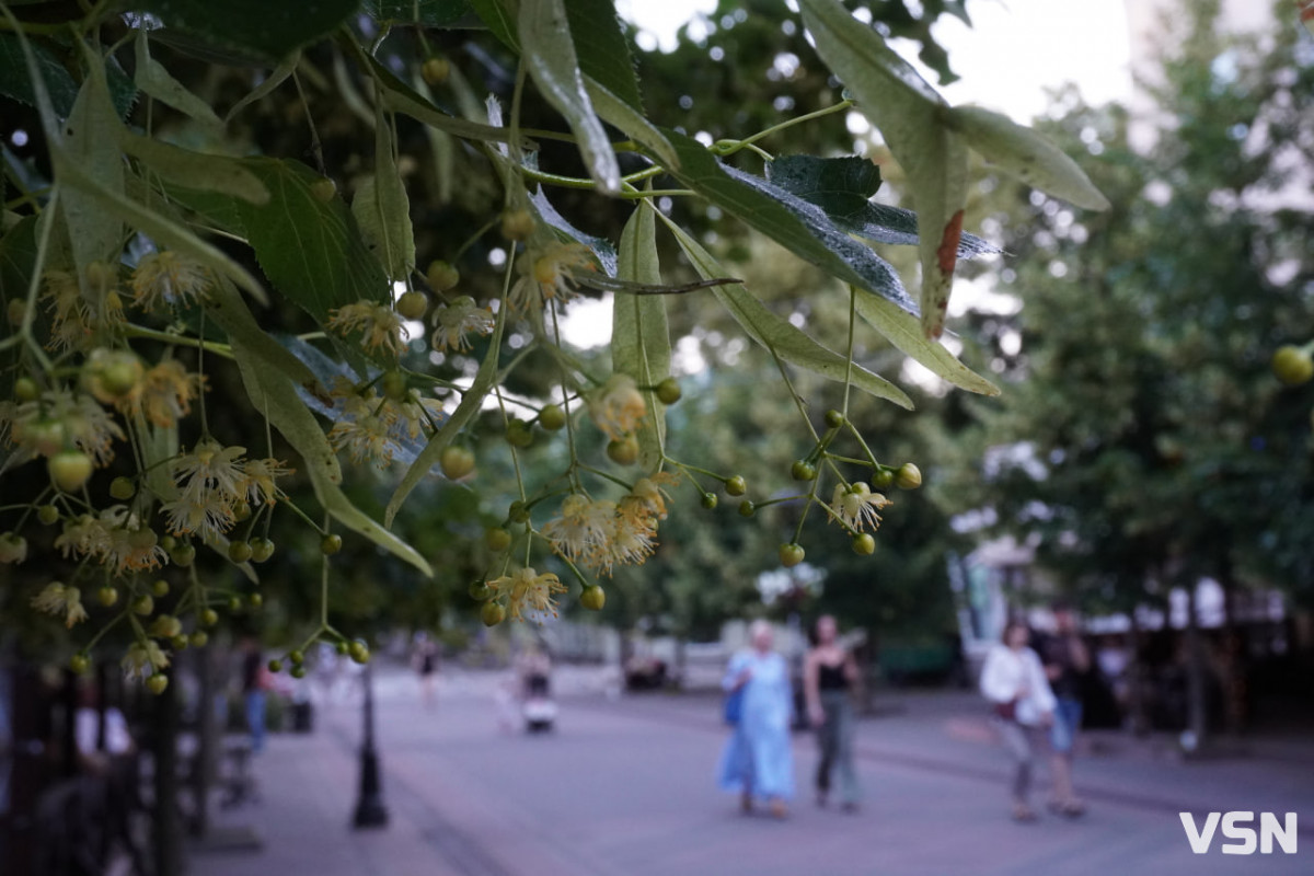 Вечірній Луцьк у променях сонця: кадри, які передають настрій літа. Фоторепортаж