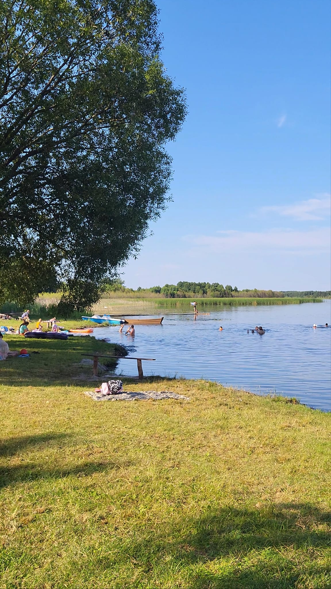 Мальовничий рай на Волині: затока Лука на озері Світязь приваблює відпочивальників
