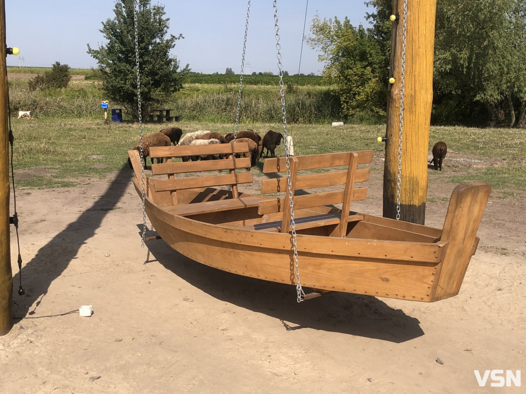 Як віслюк Мойсей надихнув на створення контактного зоопарку, або як врятовані тварини знайшли свій дім у селі на Волині