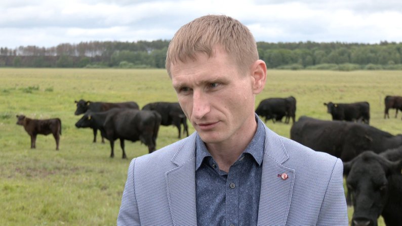 Мільйон від держави за худобу: як волинський фермер отримав дотацію і що для цього потрібно