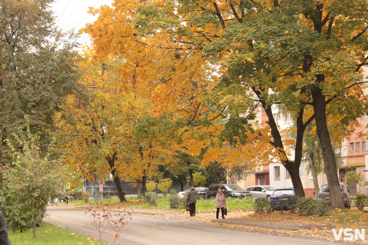 «Звісно, відзначаємо» чи «не прийнято»: як у Луцьку ставляться до Геловіну