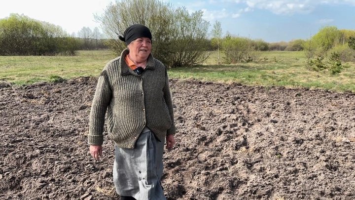 Як на Волині садять картоплю «під коника»: важка щоденна праця родини