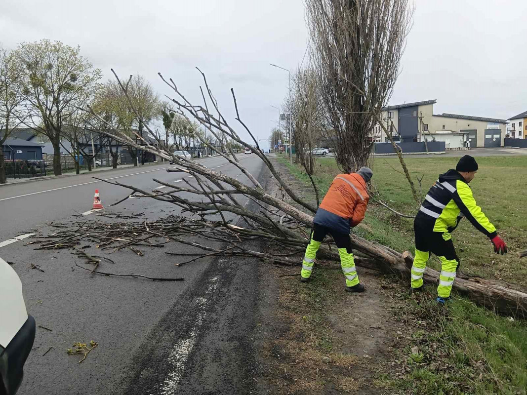 На Волині буревій пошкодив дах ліцею та повалив дерева