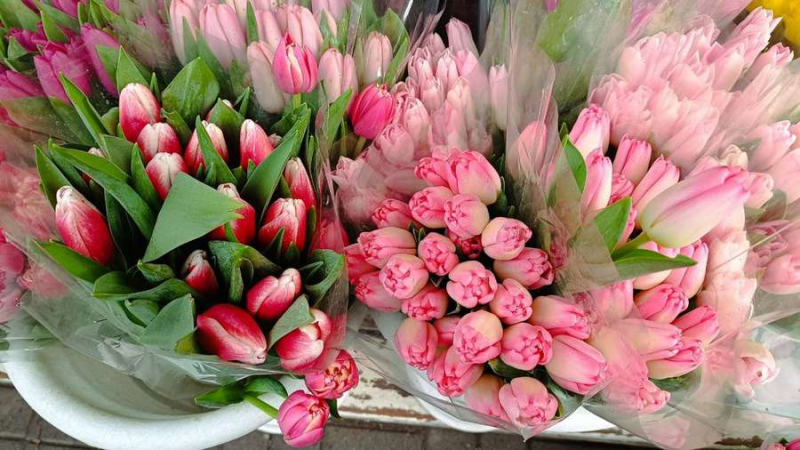 Ціни на квіти напередодні 8 березня: скільки коштують тюльпани в Луцьку