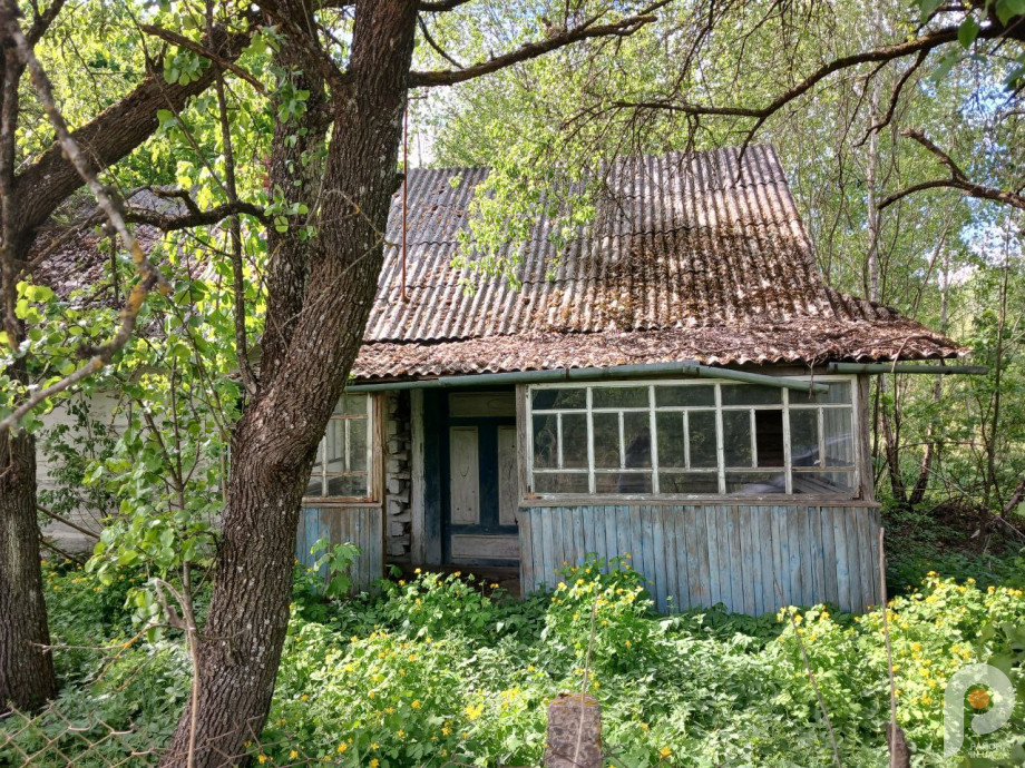 Ні магазину, ні медпункту, ні автобуса: як живуть восьмеро пенсіонерів у найменшому селі на Волині