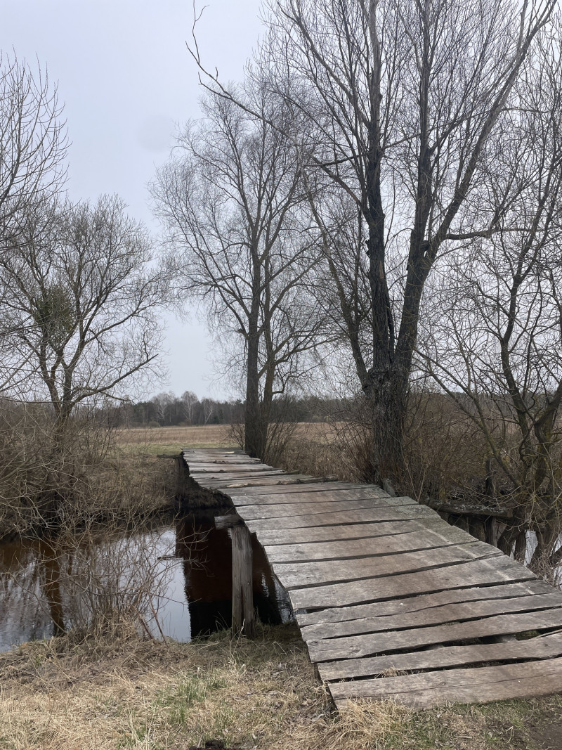 На Волині школярка знайшла троюрідну сестру під час конкурсу з дослідження родоводу