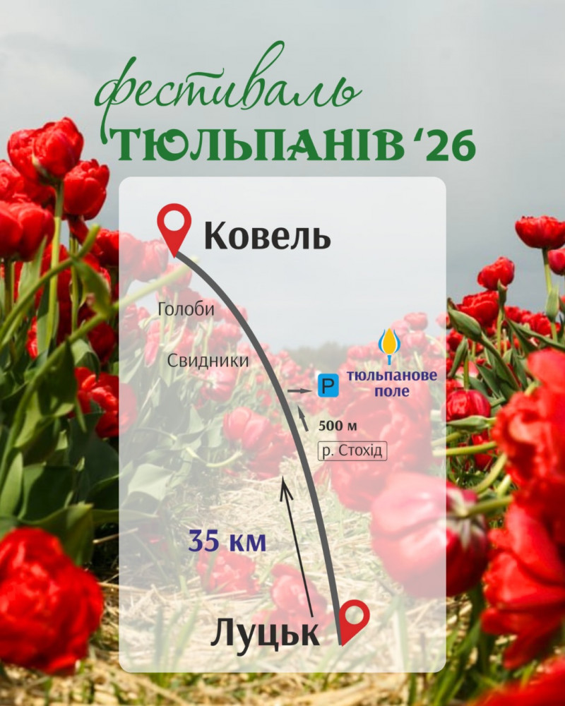 Найбажаніша подія весни - на Волині стартує фестиваль тюльпанів
