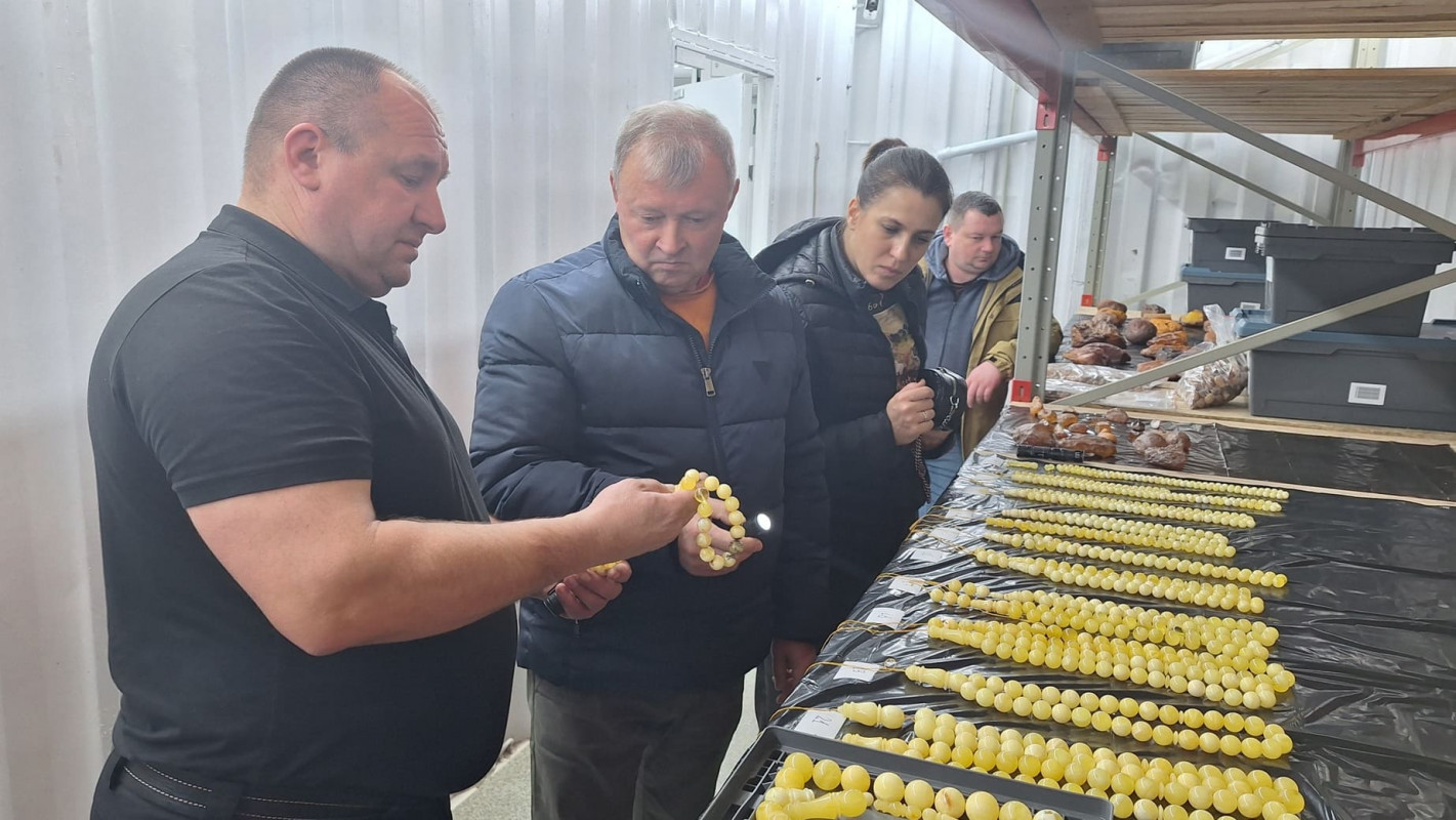 Державна комісія України по запасах корисних копалин та КП «Волиньприродресурс»: візит до заводу по збагаченню та переробці бурштину