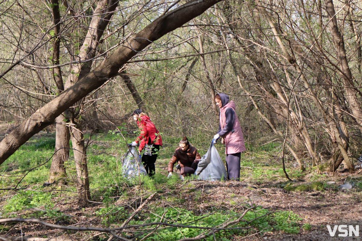 У Луцьку стартувала загальноміська толока: прибирають парки та заповідні зони