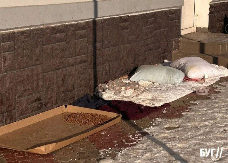 У Володимирі мешканці облаштовують «пункти тепла» для безпритульних собак