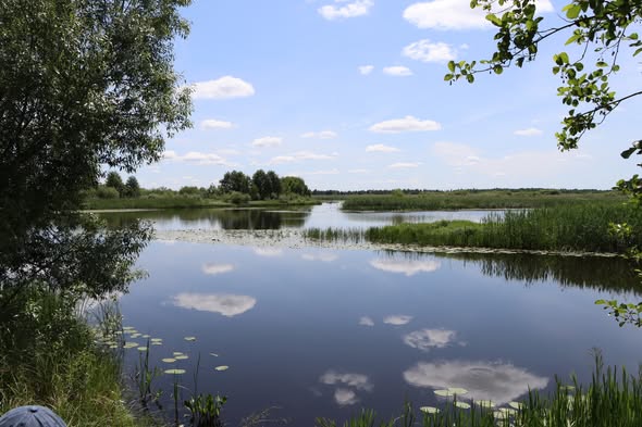 Місце, де зупинився час: де на Волині дике поліське село без цивілізації