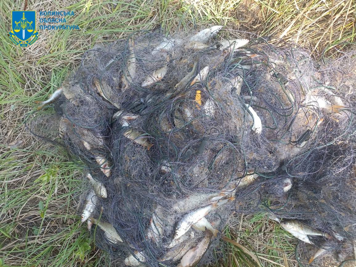 Волинянин незаконно наловив риби на понад пів мільйона гривень