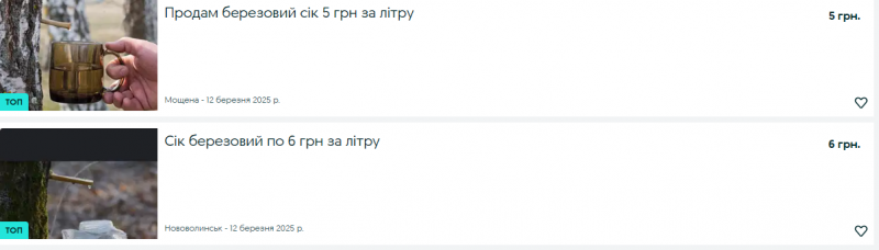 На Волині розпочався збір березового соку: яка ціна напою?