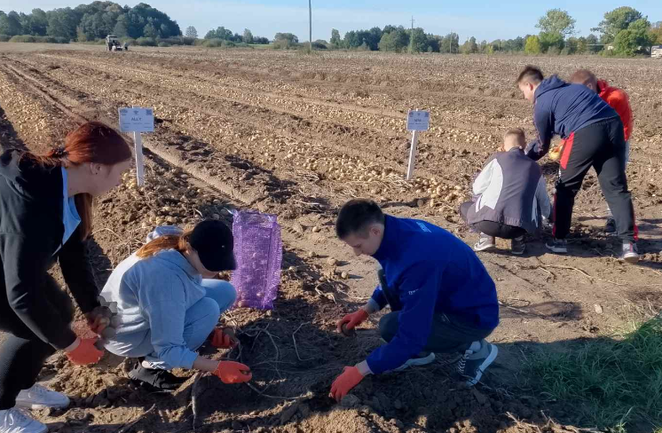 Луцький університет і фермерське господарство створюють лабораторію для вирощування безвірусної картоплі
