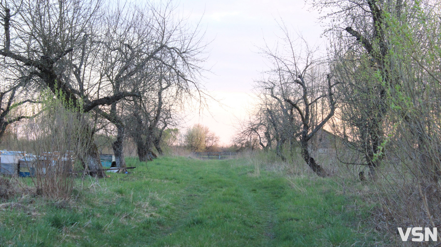 Заморозки та сильний вітер: прогноз погоди на робочий тиждень для Волині