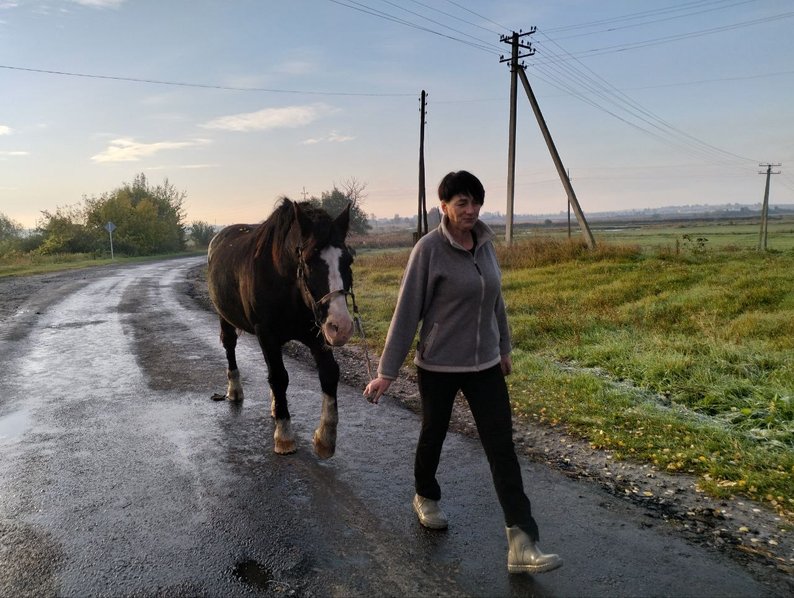 Вся робота — на її плечах: волинянка веде господарство, поки чоловік захищає Україну
