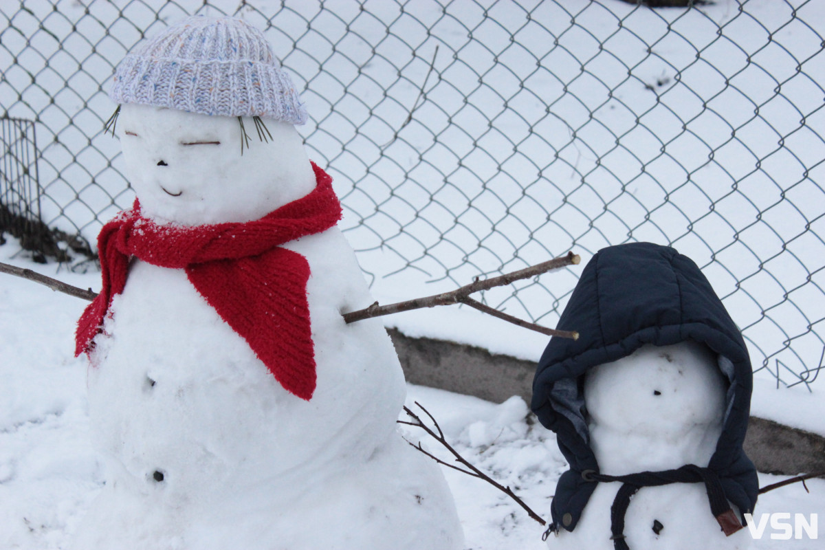 Тунелі у кучугурах та іспити морозом: спогади волинян про справжні поліські зими