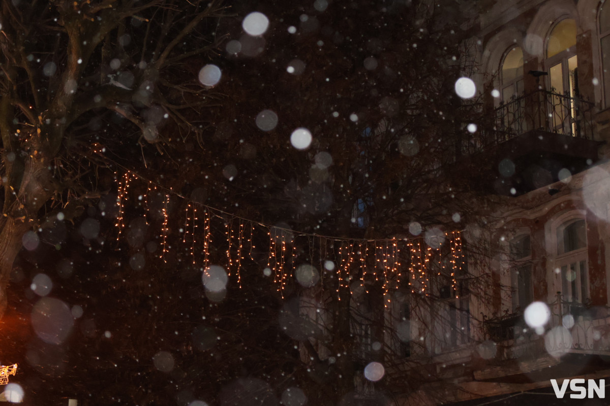 Останній день 2025 у Луцьку: місто в очікуванні Нового року. Фоторепортаж