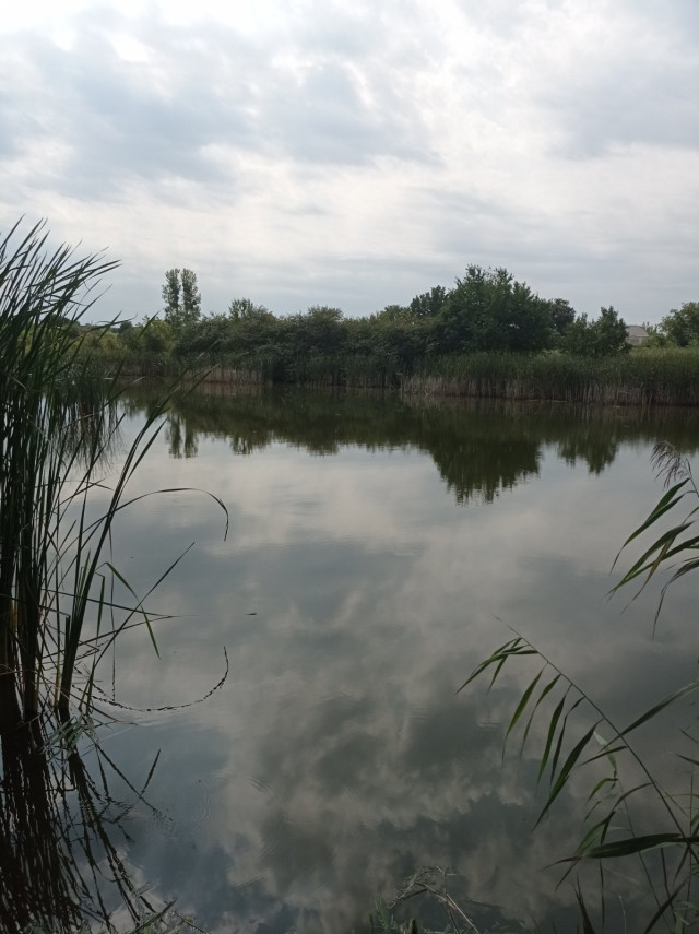 На Волині здають в оренду дві водойми: стартові ціни - від 15 тисяч гривень