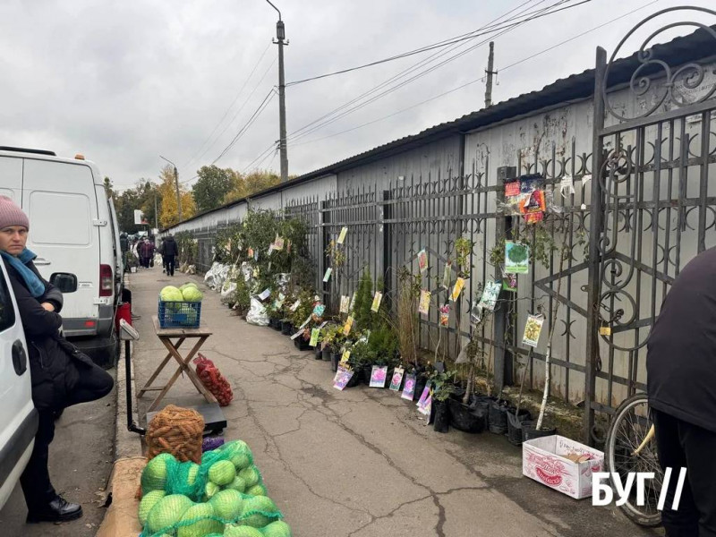 Що продають на осінньому ринку на Волині: ціни на овочі, фрукти та саджанці