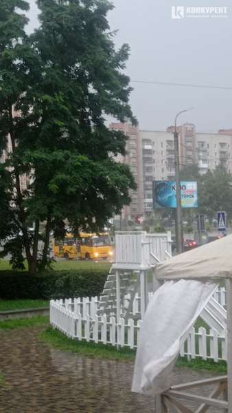 Залило дощем та повалило дерева: наслідки негоди в Луцьку