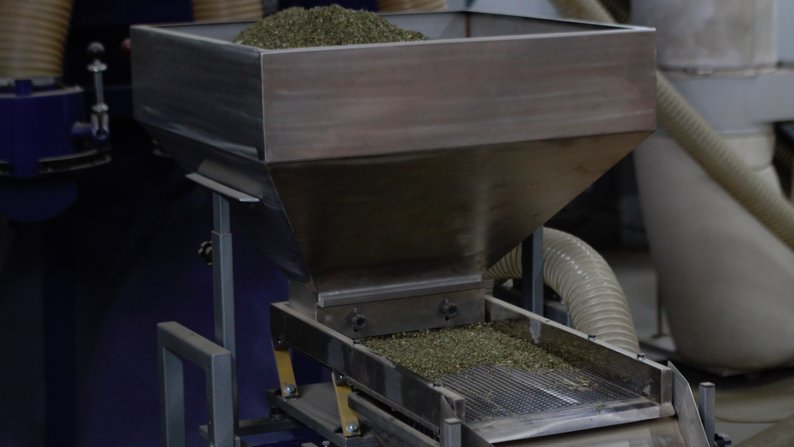 У Луцьку ветерани створили власний чайний бренд і віддають зароблене на допомогу військовим