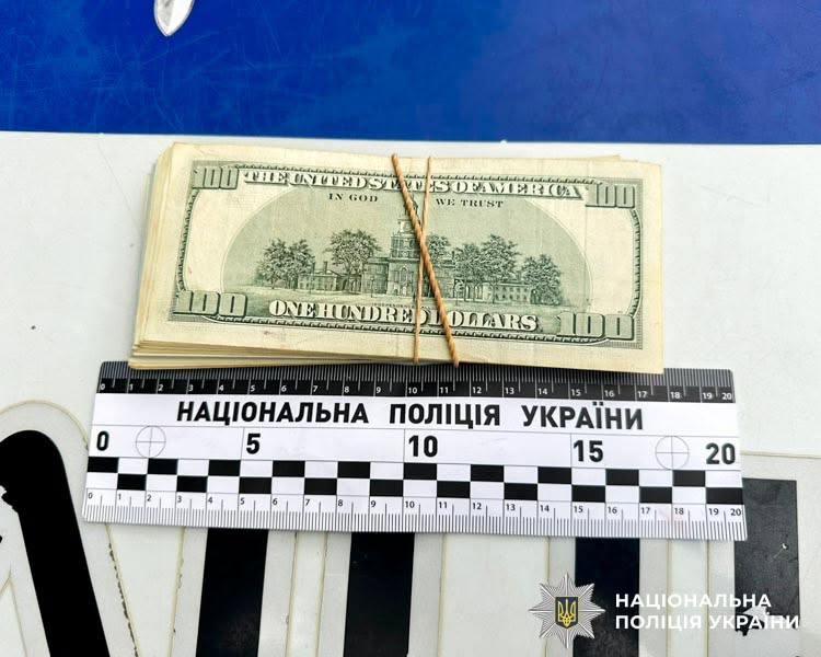 19-річна волинянка обдурила 91-річну жінку на понад 10 тисяч доларів у схемі «ДТП з сином»
