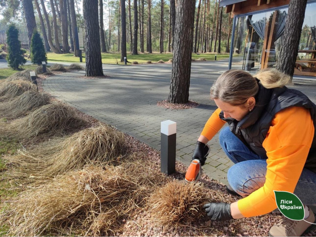 Ліси стають доступнішими: на Волині та Рівненщині готують інклюзивні місця відпочинку