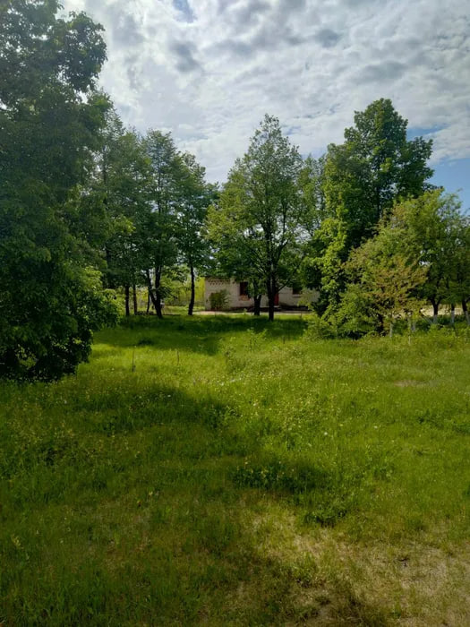 Біля Луцька продають колишню сауну під ковбасний цех: що відомо