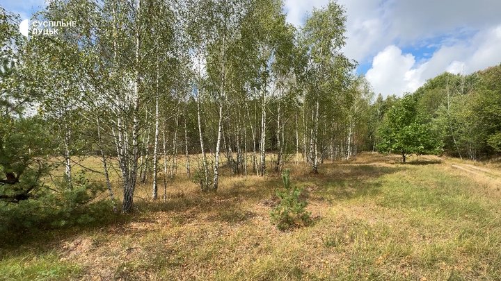 Як живе село на Волині, де автобус приїжджає лише двічі на тиждень