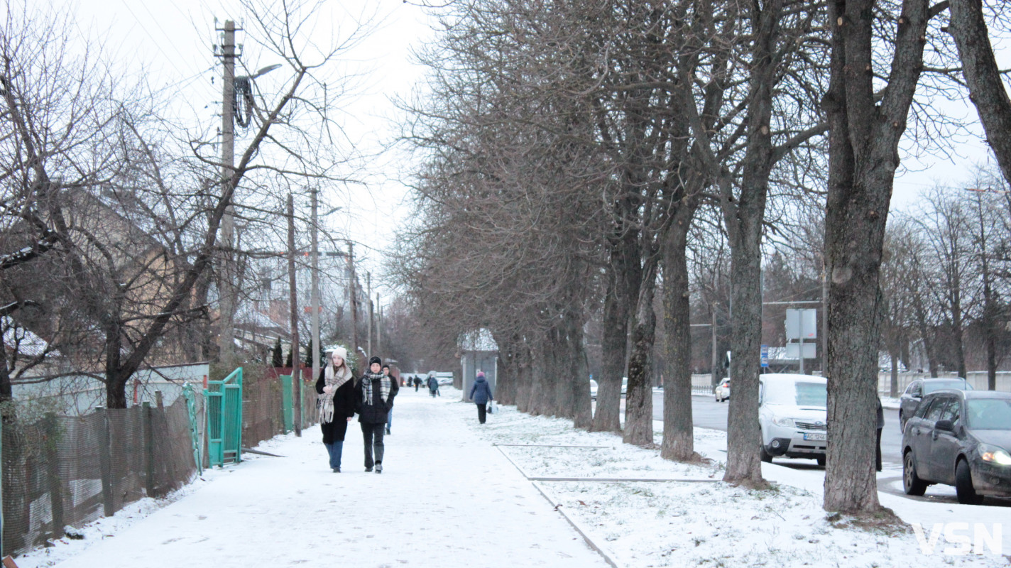 Засніжений Луцьк: як виглядають парки та двори міста взимку напередодні Нового 2026 року. Фоторепортаж