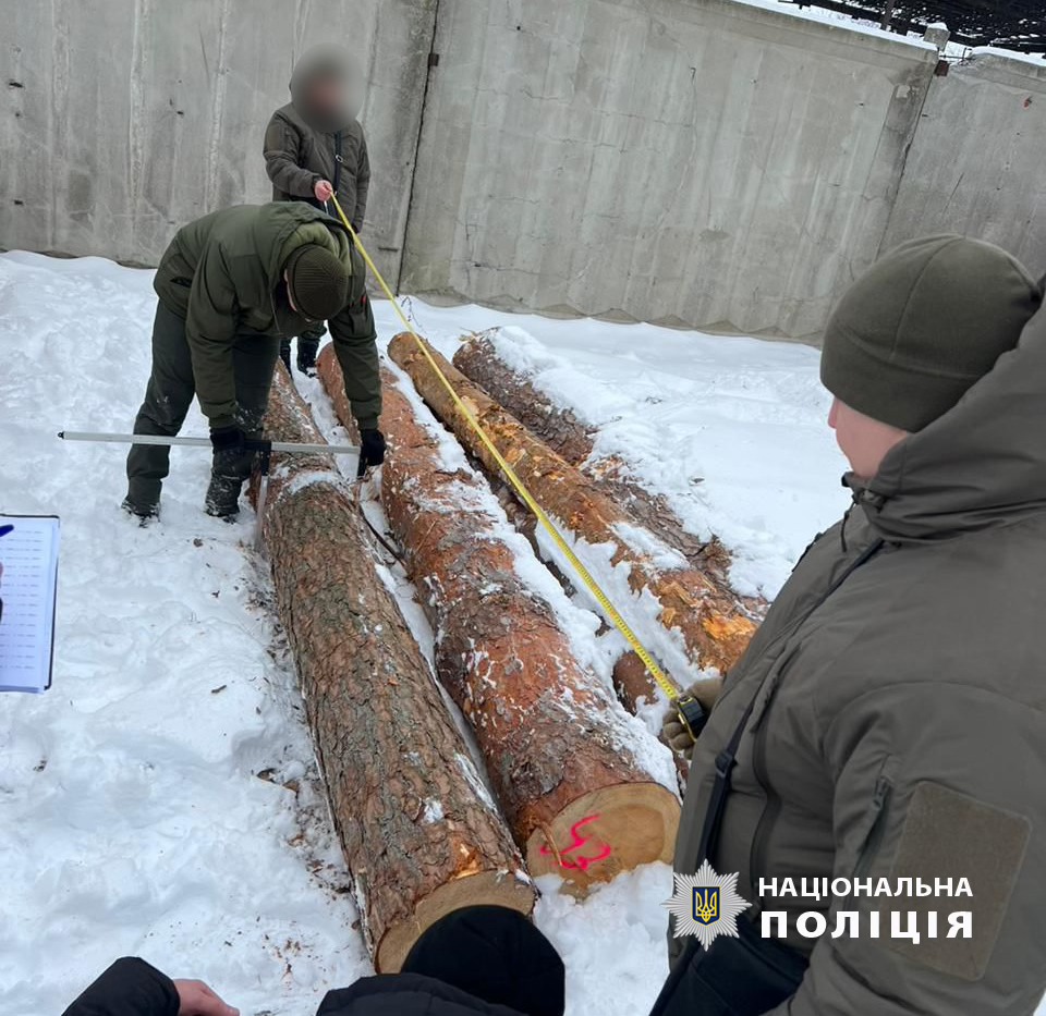 На Волині злочинці незаконно вирубали ліс на понад 7 млн грн