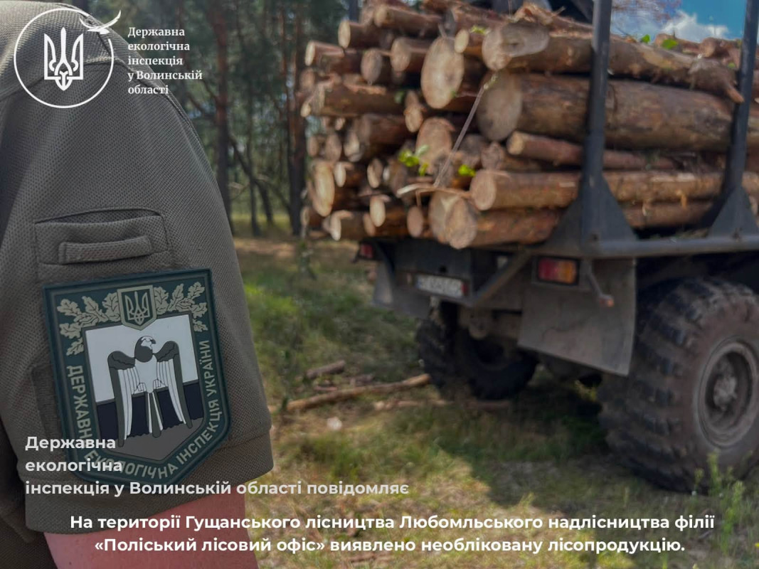 На Волині виявили деревину, яку незаконно вантажили краном на лісовоз