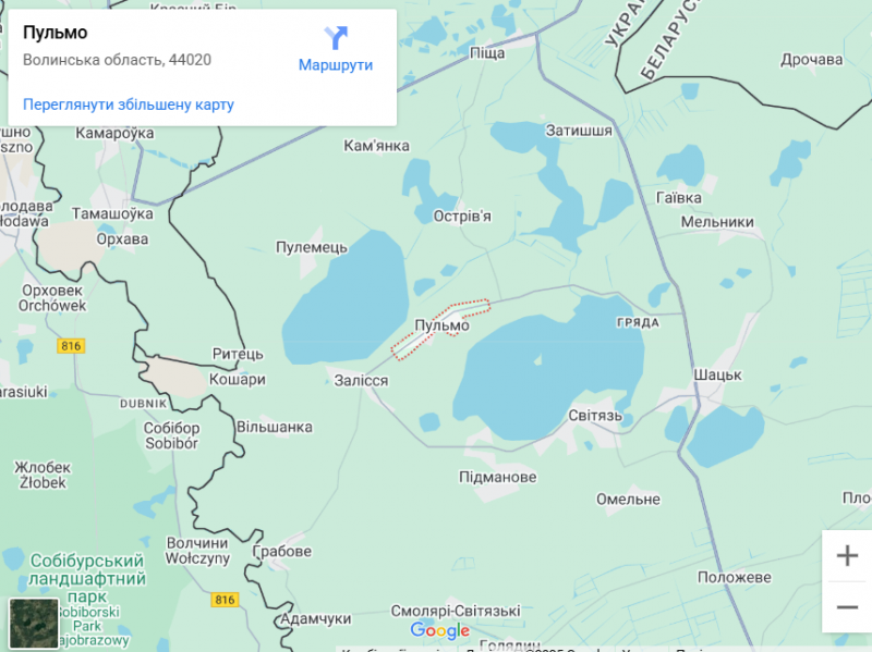 Грибний бум на Волині: де шукати білі, лисички та опеньки