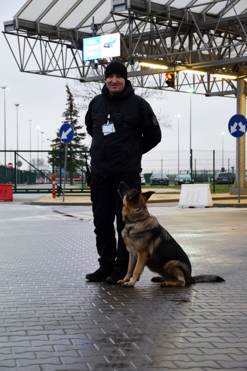 Коли напарник – більше ніж собака: прикордонник з Волині та його чотирилапа династія