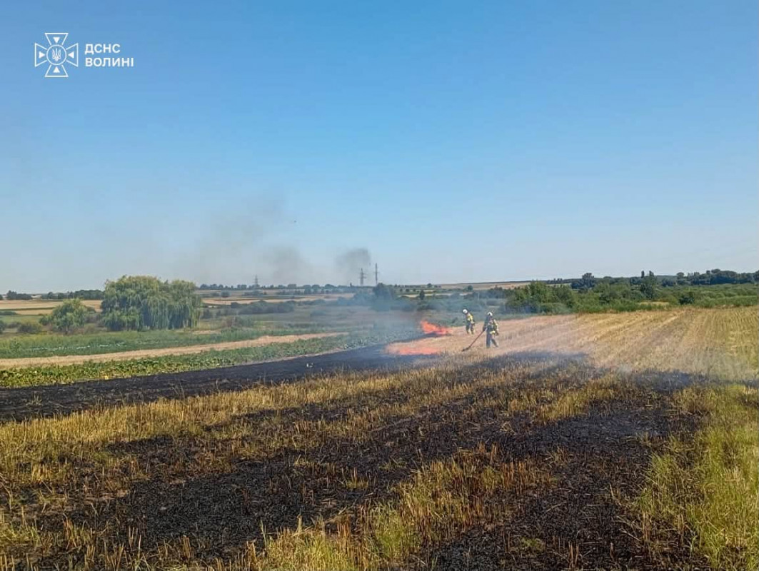 За добу на Волині спалахнули чотири пожежі: вогонь охопив майже 4 гектари