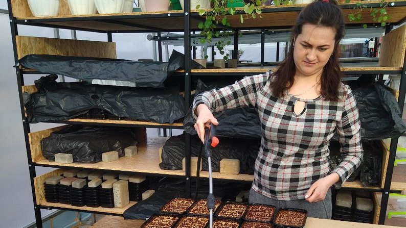 Мріяла схуднути, а знайшла свою справу: історія лучанки, яка створила власний бізнес на вирощенні мікрозелені