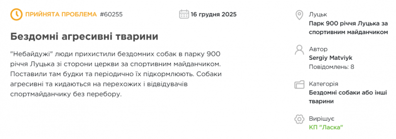У Луцьку на людей нападають зграї собак: що відомо