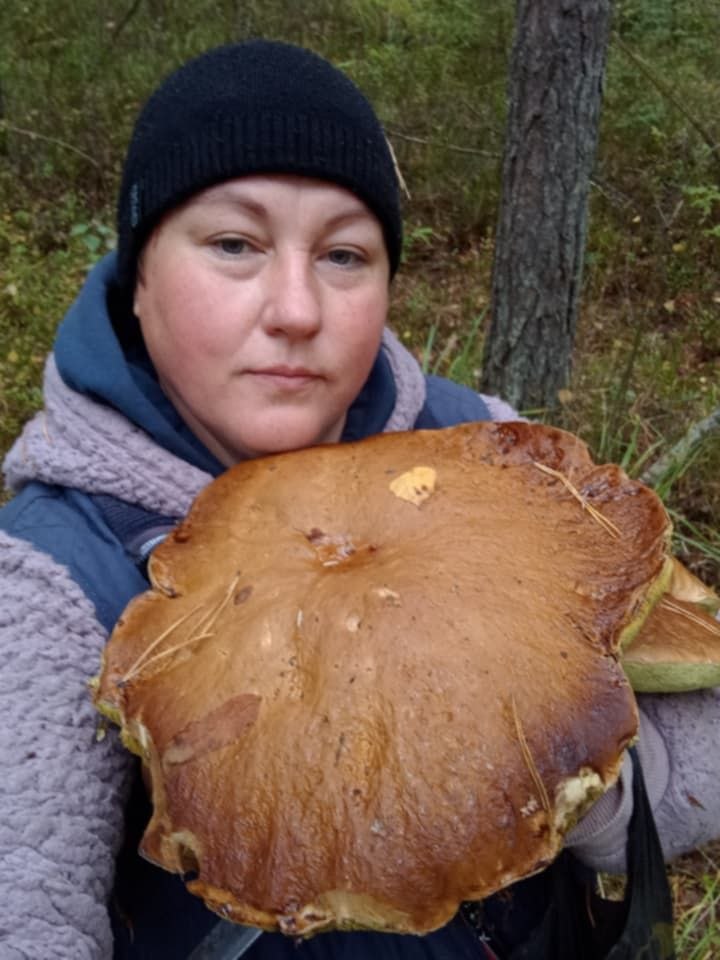 Волинянка знайшла десять грибів-велетнів: один важив більше кілограма. Фото