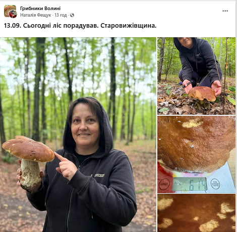 Повні відра за півтори години: де на Волині зараз найбільше грибів
