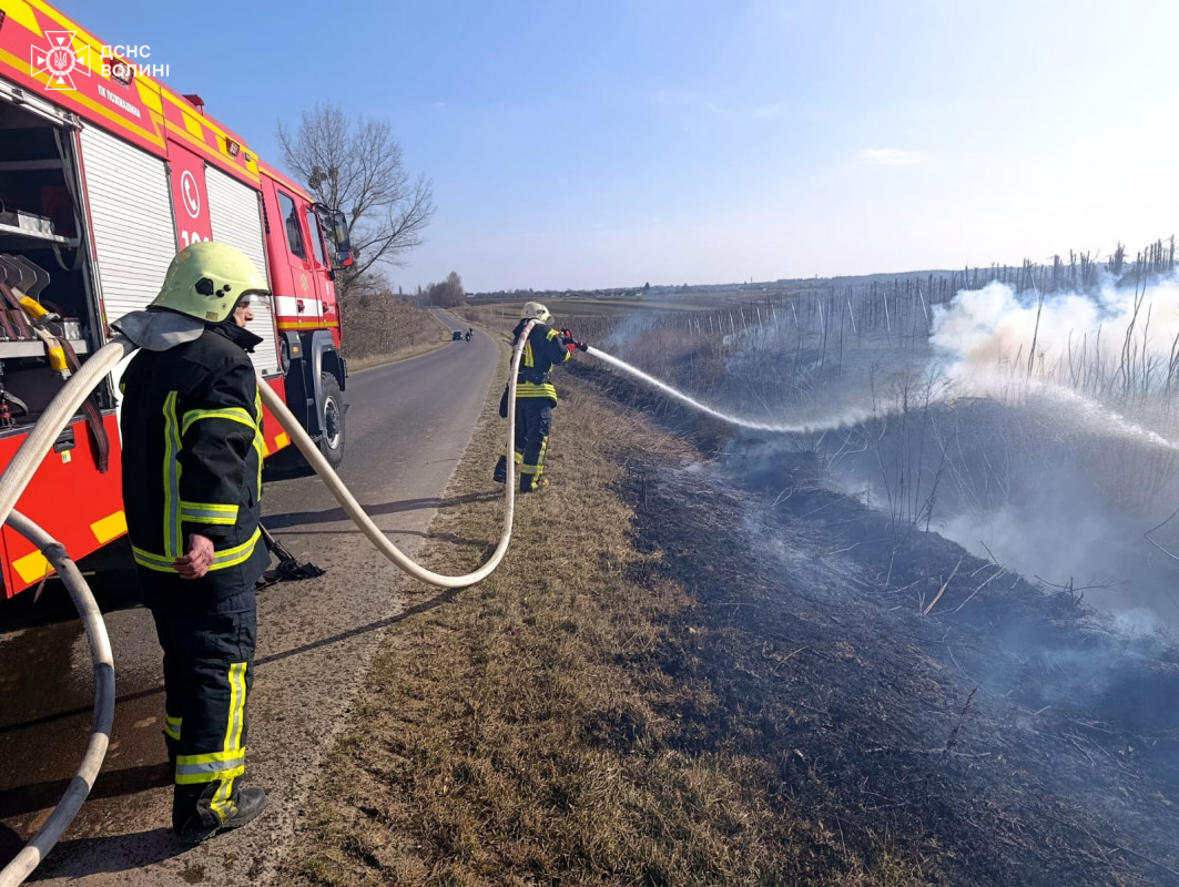 На Волині за добу загасили понад 14 гектарів вогню в екосистемах