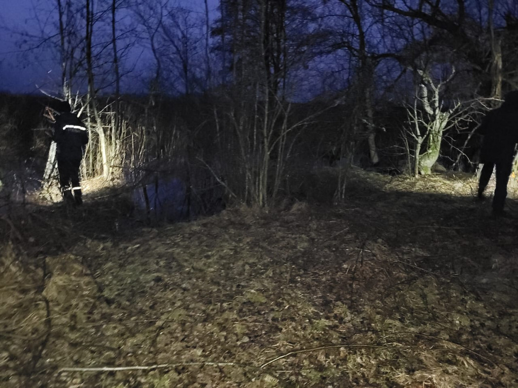 Понад річкою, в лісі: на Волині продовжують пошуки 17-річної дівчини, яка пішла в невідомому напрямку. Фото