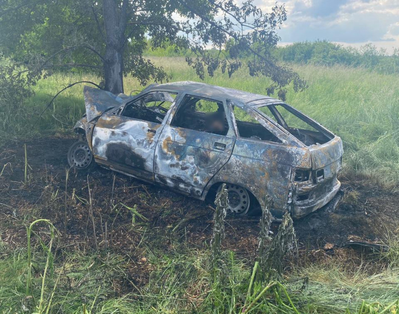 Смертельна ДТП на Волині: ВАЗ врізався у дерево і загорівся