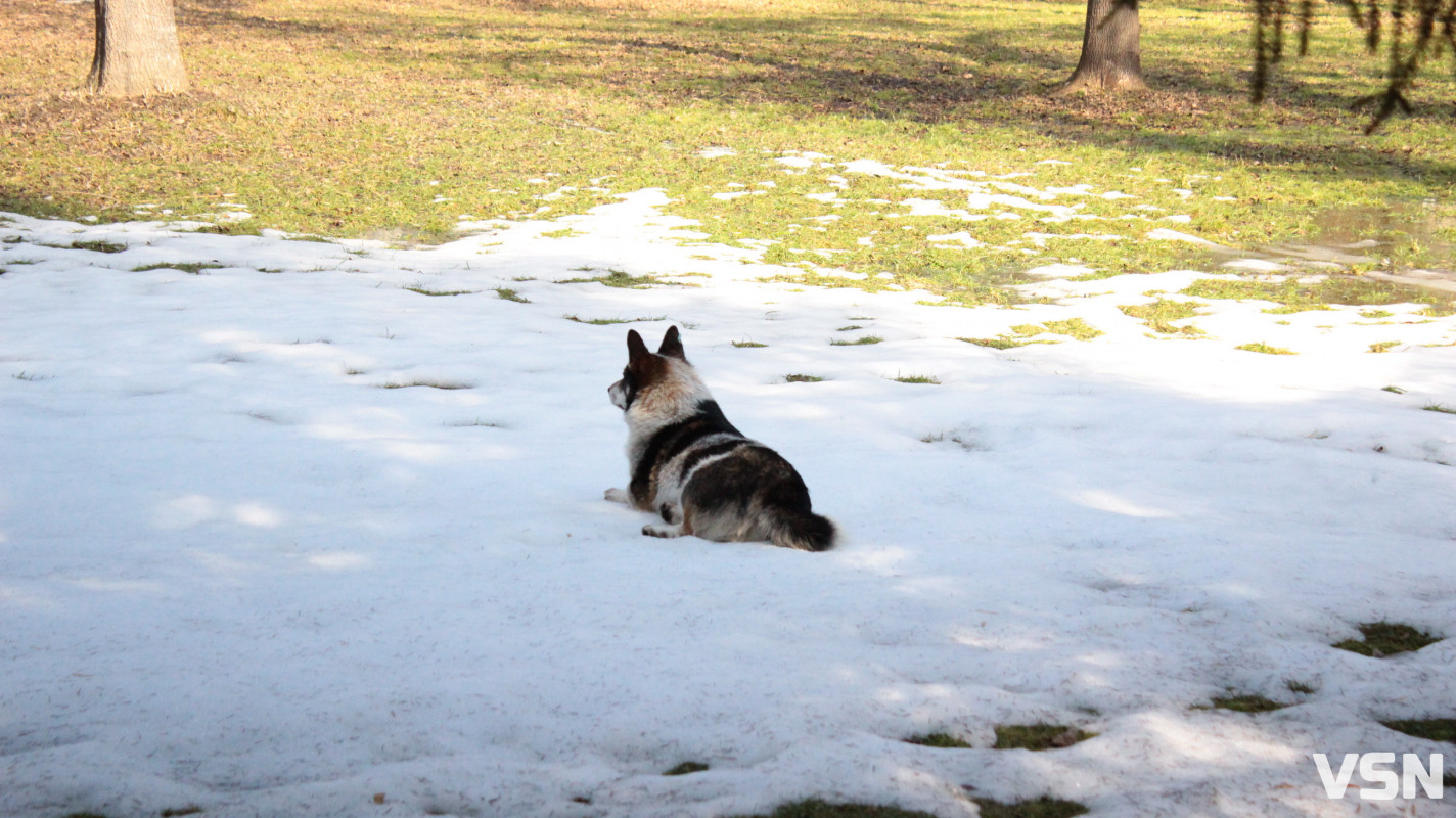 Весна у Луцьку: фоторепортаж із парку імені Лесі Українки