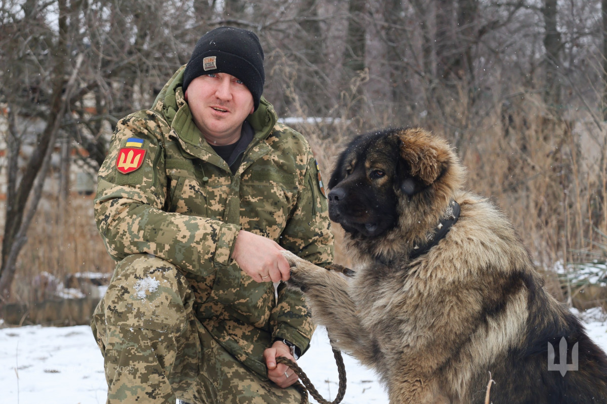 Ведмедик-антистрес на передовій: кавказька вівчарка стала надійною опорою для бійця волинської бригади