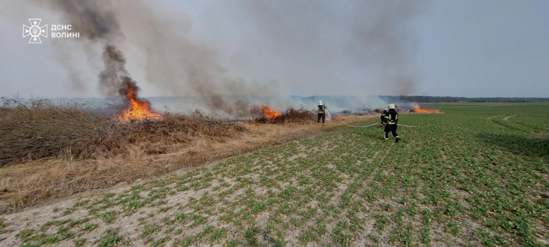 На Волині через людську недбалість вигоріло близько 8 га сухої трави та чагарників