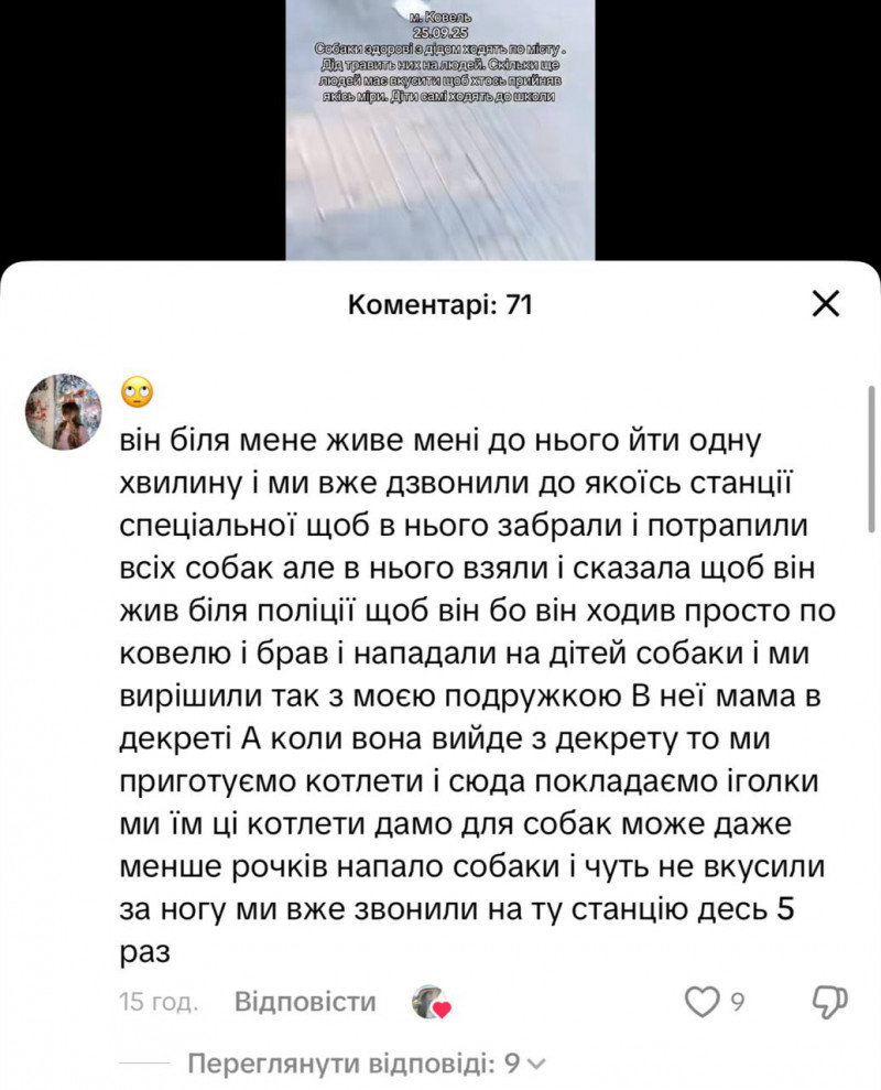 Дід і зграя собак тероризують Ковель: люди бояться виходити на вулицю