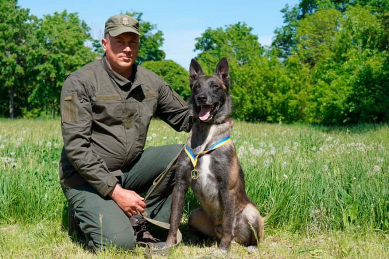 «Більше, ніж просто друг»: службовий собака з Маріуполя знайшов понад тисячу боєприпасів. Фото