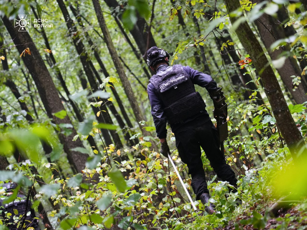 На Волині виявили майже сотню боєприпасів часів Другої світової війни