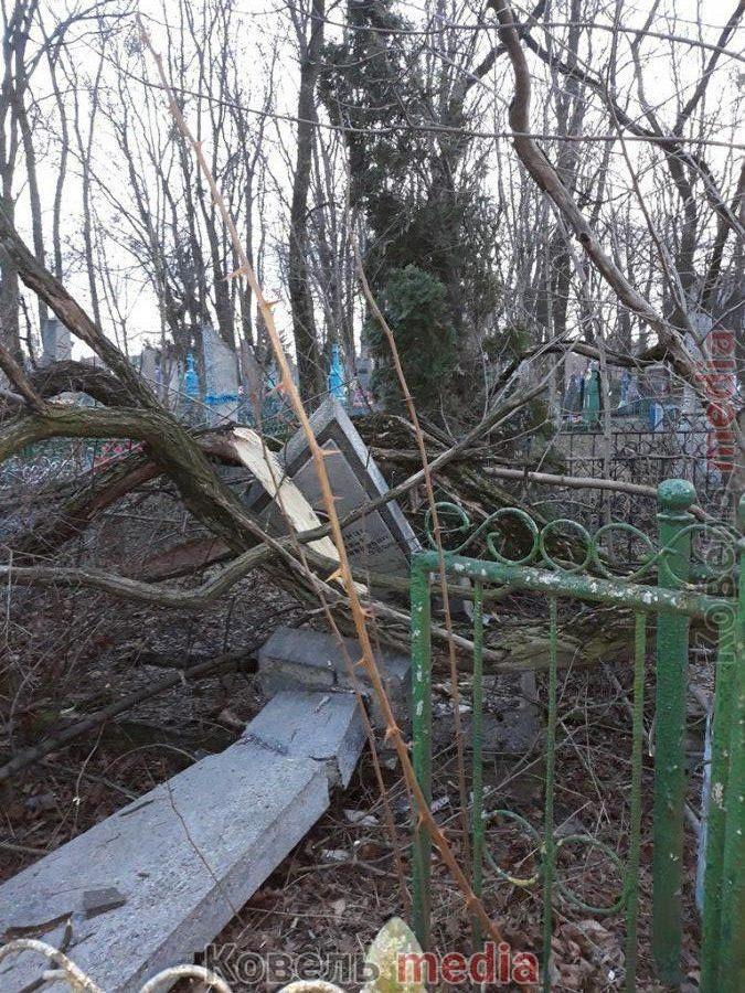 При падінні розбили пам’ятники: на Волині на кладовищі сильний вітер повалив дерева з корінням